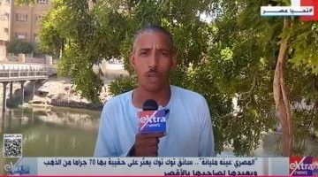 سائق توك توك أمين يعود بـ 70 جرام ذهب لصاحبه بالأقصر تعرّف على القصة