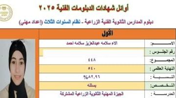صدارة الدبلومات الفنية 2025: قائمة الأوائل على مستوى الجمهورية