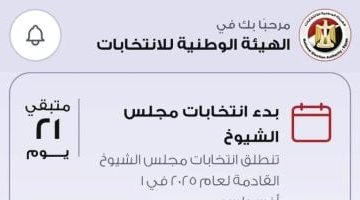 انتخابات 2023: تطبيق الهيئة الوطنية يسهل تحديد لجنتك بضغطة واحدة