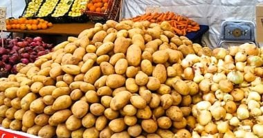 أسعار الخضروات والفواكه في المنوفية يوم الثلاثاء 22 يوليو 2025