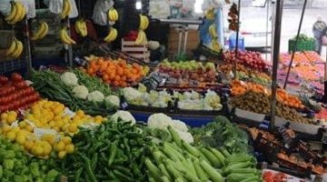 أسعار الخضروات والفواكه في كفر الشيخ اليوم الاثنين الطماطم تصل