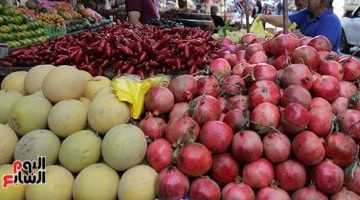 أسعار الفاكهة في أسواق مطروح تشهد تغيرات اليوم السبت 26