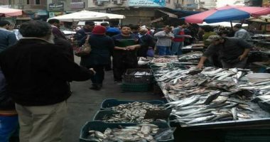 تحديث أسعار الأسماك في أسواق مطروح اليوم السبت ومرجان يصل لـ160 جنيها