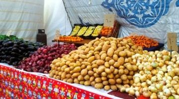 تحديث أسعار الخضار والفواكه في المنوفية اليوم الخميس 24 يوليو
