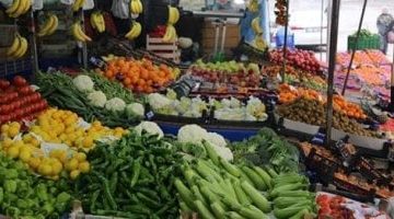 تحديث أسعار الخضروات في أسواق الأقصر الثلاثاء 22 يوليو 2025