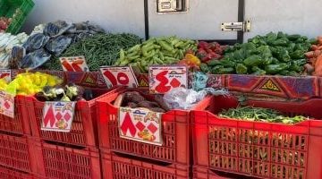 تحديث أسعار الخضروات والفواكه في كفر الشيخ اليوم السبت 26