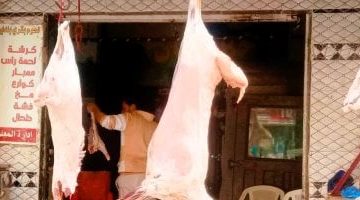 تحديث أسعار اللحوم في محلات ومنافذ التموين بمدينة الأقصر السبت